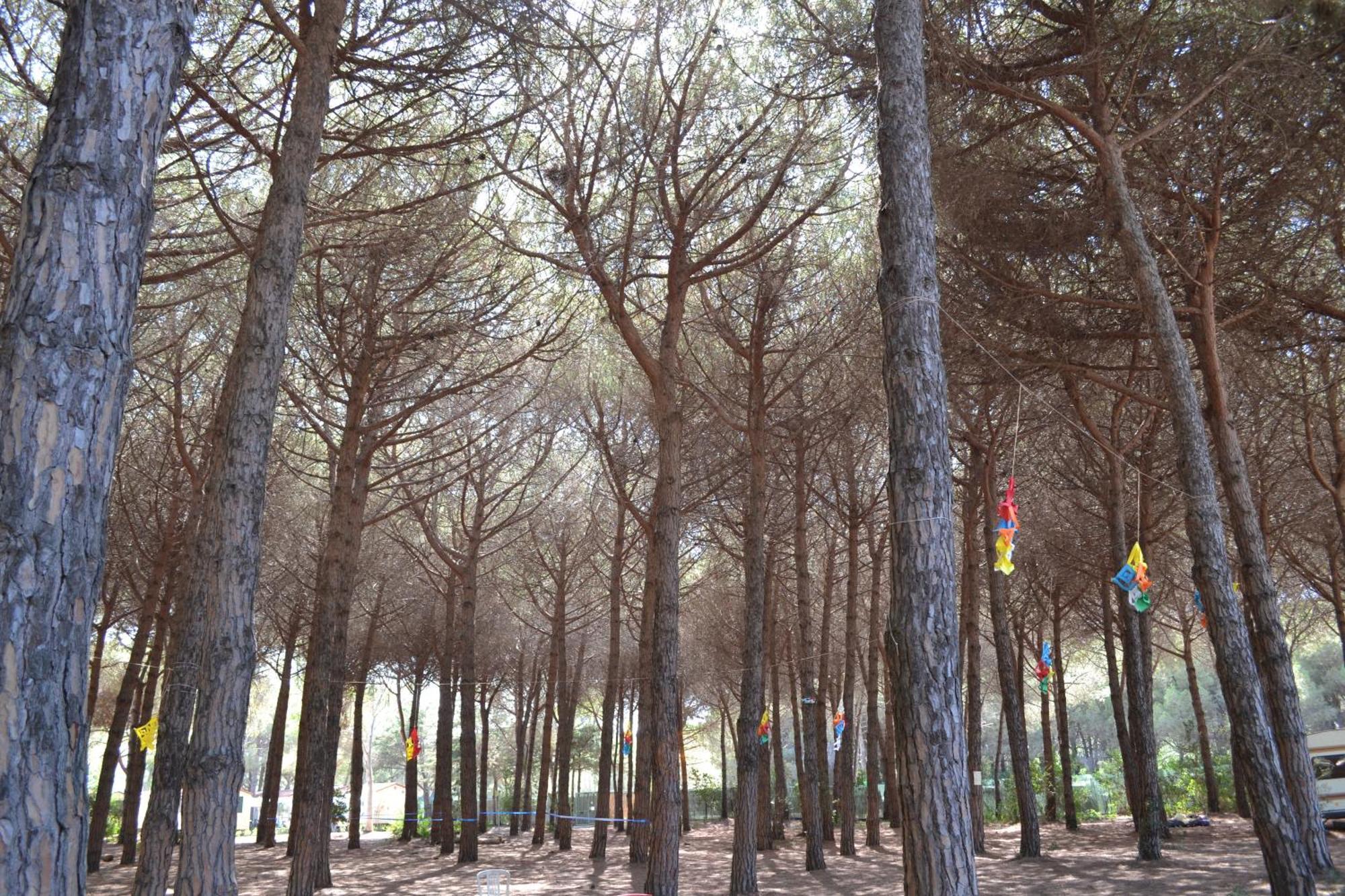 Giannella Camping Orbetello Exterior photo
